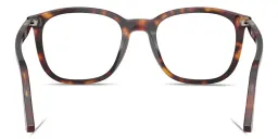 Shop PERSOL Arrow Emblem Unisex Square Eyeglasses in Havana online.
