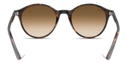 Shop Ray-Ban Bernard Unisex Panthos Sunglasses in Havana online.