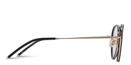 Shop EYE'M Panthos Eyeglasses in Gold online.