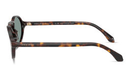 Shop GIORGIO ARMANI Logo Print Oval Sunglasses in Havana online.