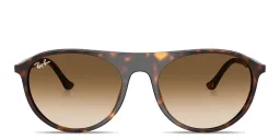 Shop Ray-Ban Logo Signature Unisex Square Sunglasses in Havana online.