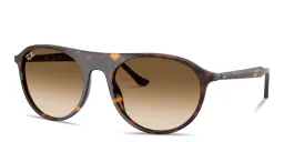 Shop Ray-Ban Logo Signature Unisex Square Sunglasses in Havana online.