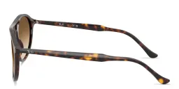 Shop Ray-Ban Logo Signature Unisex Square Sunglasses in Havana online.
