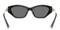 Shop TIFFANY Tiffany HardWear Cat-Eye Sunglasses in Black online.