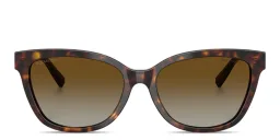 Shop TIFFANY Tiffany T Cat-Eye Sunglasses in Havana online.