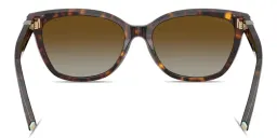 Shop TIFFANY Tiffany T Cat-Eye Sunglasses in Havana online.
