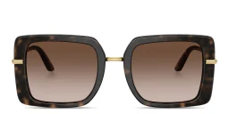 Shop Dolce & Gabbana Engraved Logo Oversized Square Sunglasses in Havana online.