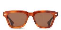 Shop SESTINI Quattro Unisex Square Sunglasses in Shiny Honey Tortoise online.