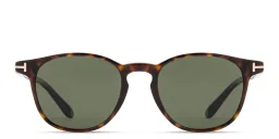 Shop TOM FORD Holt Round Sunglasses in Havana online.