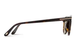 Shop TOM FORD Holt Round Sunglasses in Havana online.