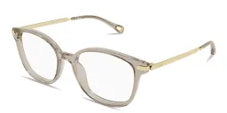 Shop Chloe Aly Square Eyeglasses in Transparent Brown online.
