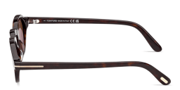 Shop TOM FORD Aristotle Oval Sunglasses in Dark Havana online.