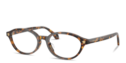 Shop VERSACE Medusa Oval Eyeglasses in Havana online.