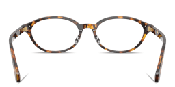 Shop VERSACE Medusa Oval Eyeglasses in Havana online.
