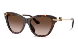 Shop Dolce & Gabbana DG Butterfly Sunglasses in Havana online.