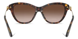 Shop Dolce & Gabbana DG Butterfly Sunglasses in Havana online.