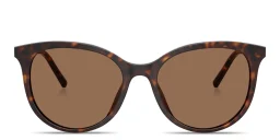 Shop Dolce & Gabbana Logo Signature Panthos Sunglasses in Havana online.