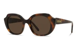 Shop LOEWE Slim Irregular Sunglasses in Havana online.