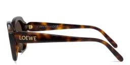 Shop LOEWE Slim Irregular Sunglasses in Havana online.