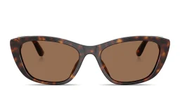 Shop Dolce & Gabbana Logo Lettering Cat-Eye Sunglasses in Havana online.