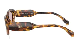Shop MIU MIU Vertical Logo Oval Sunglasses in Honey Havana online.