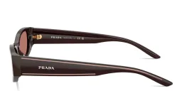 Shop PRADA Logo Signature Cat-Eye Sunglasses in Cigar online.