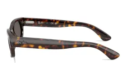 Shop Ray-Ban Embossed Logo Unisex Irregular Sunglasses in Havana online.