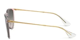 Shop Ray-Ban Erika Panthos Sunglasses in Transparent Pink online.