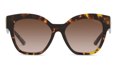 Square Sunglasses