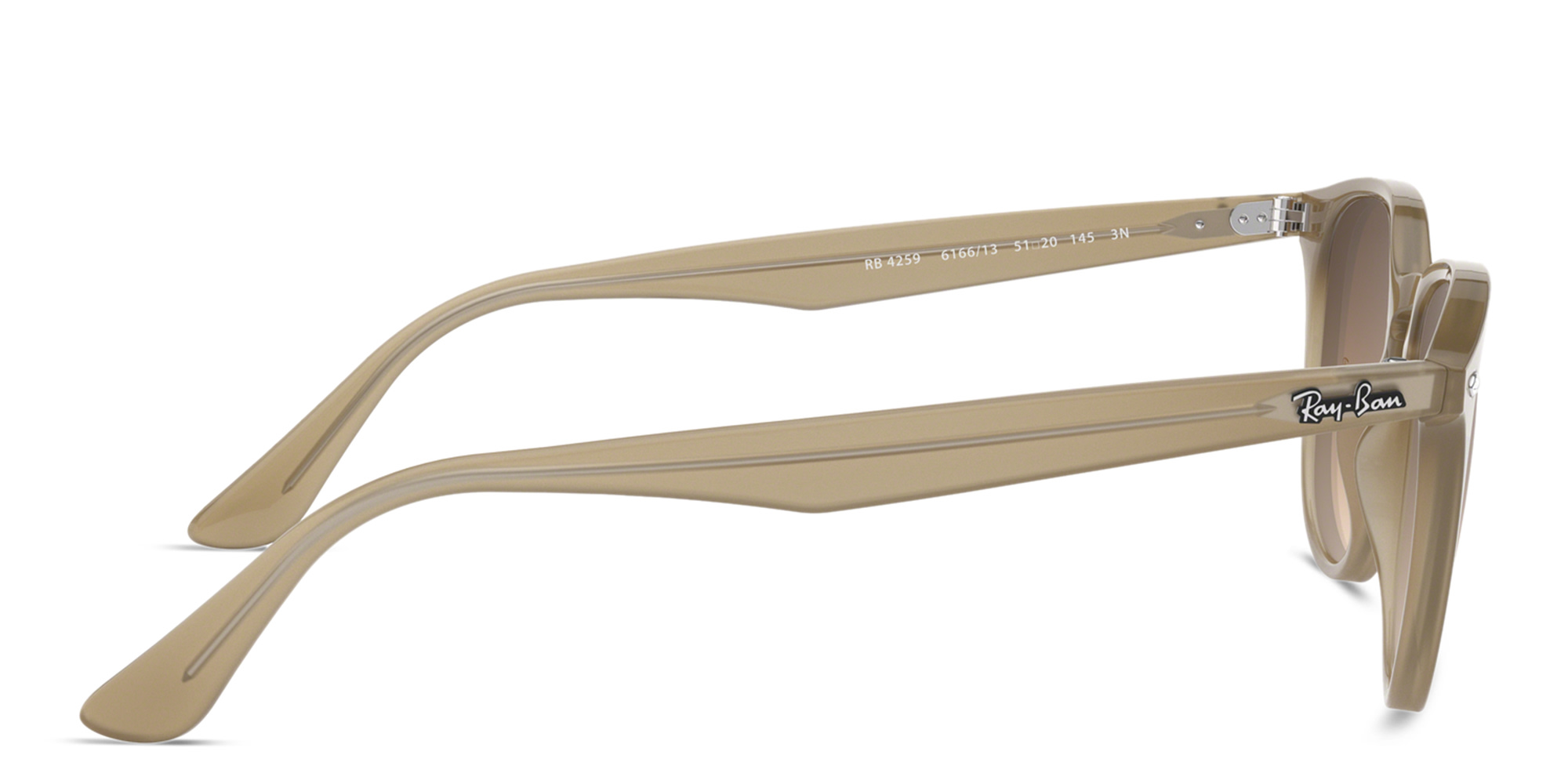 Ray-Ban Unisex Panthos Sunglasses in Brown – Product Photo 3