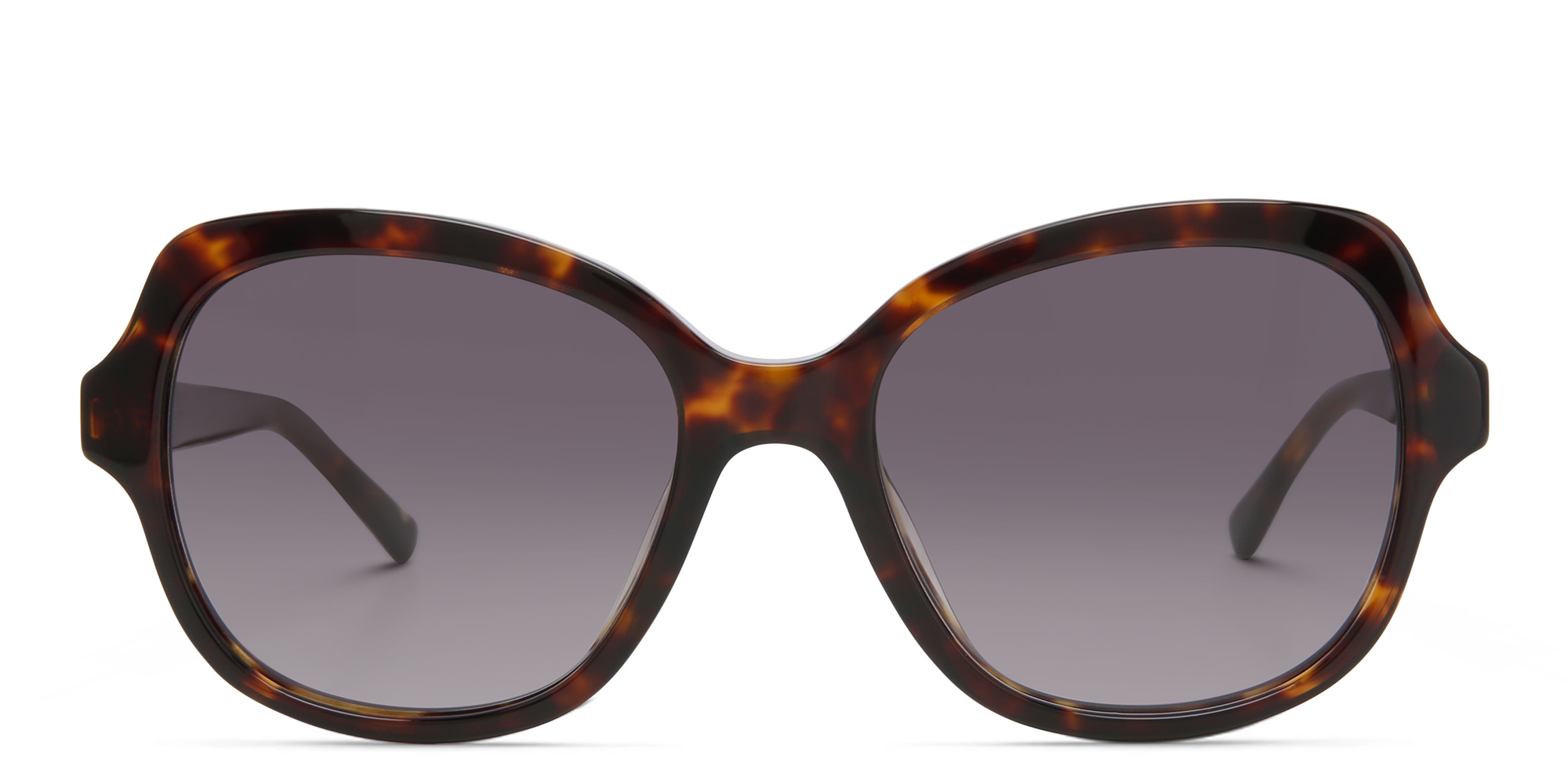 Shop EYE'M Square Sunglasses in Havana online.