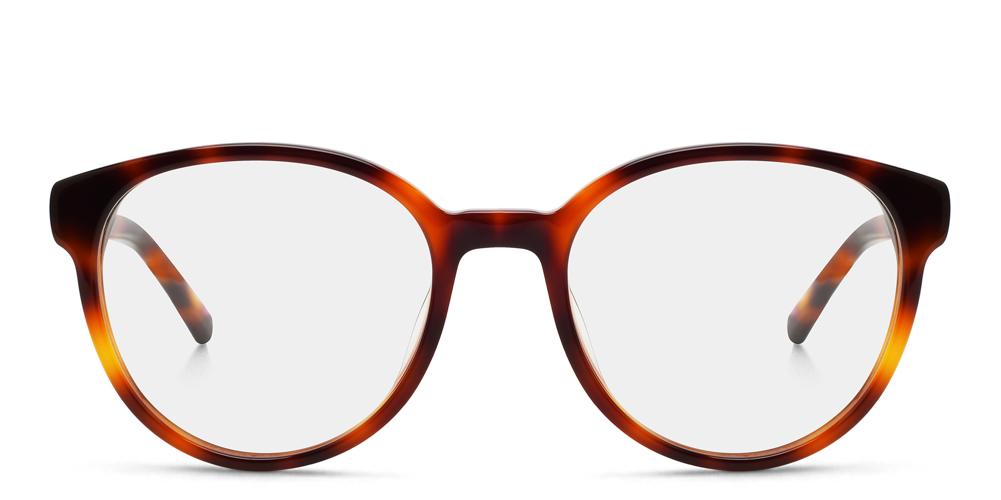 EYE'M Round Eyeglasses in Havana – Product Photo 1