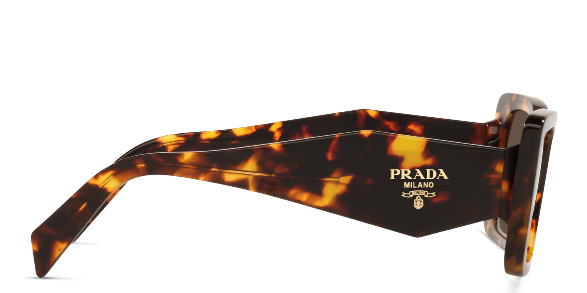 PRADA Butterfly Sunglasses in Havana – Product Photo 3