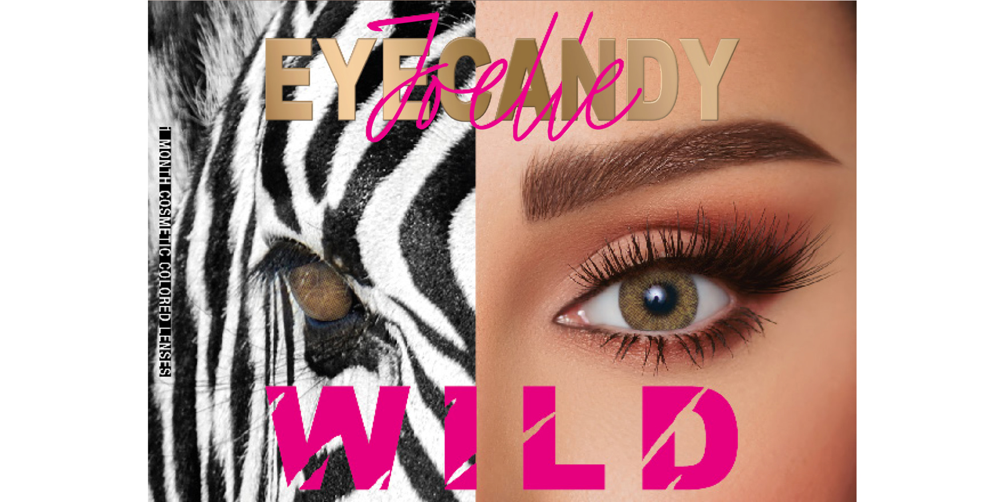 lg-eyecandy_monthly_0
