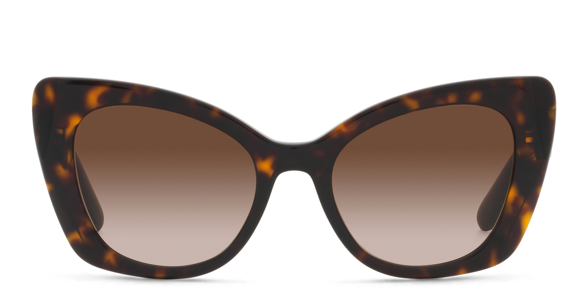 Dolce & Gabbana Butterfly Sunglasses in Havana – Product Photo 1