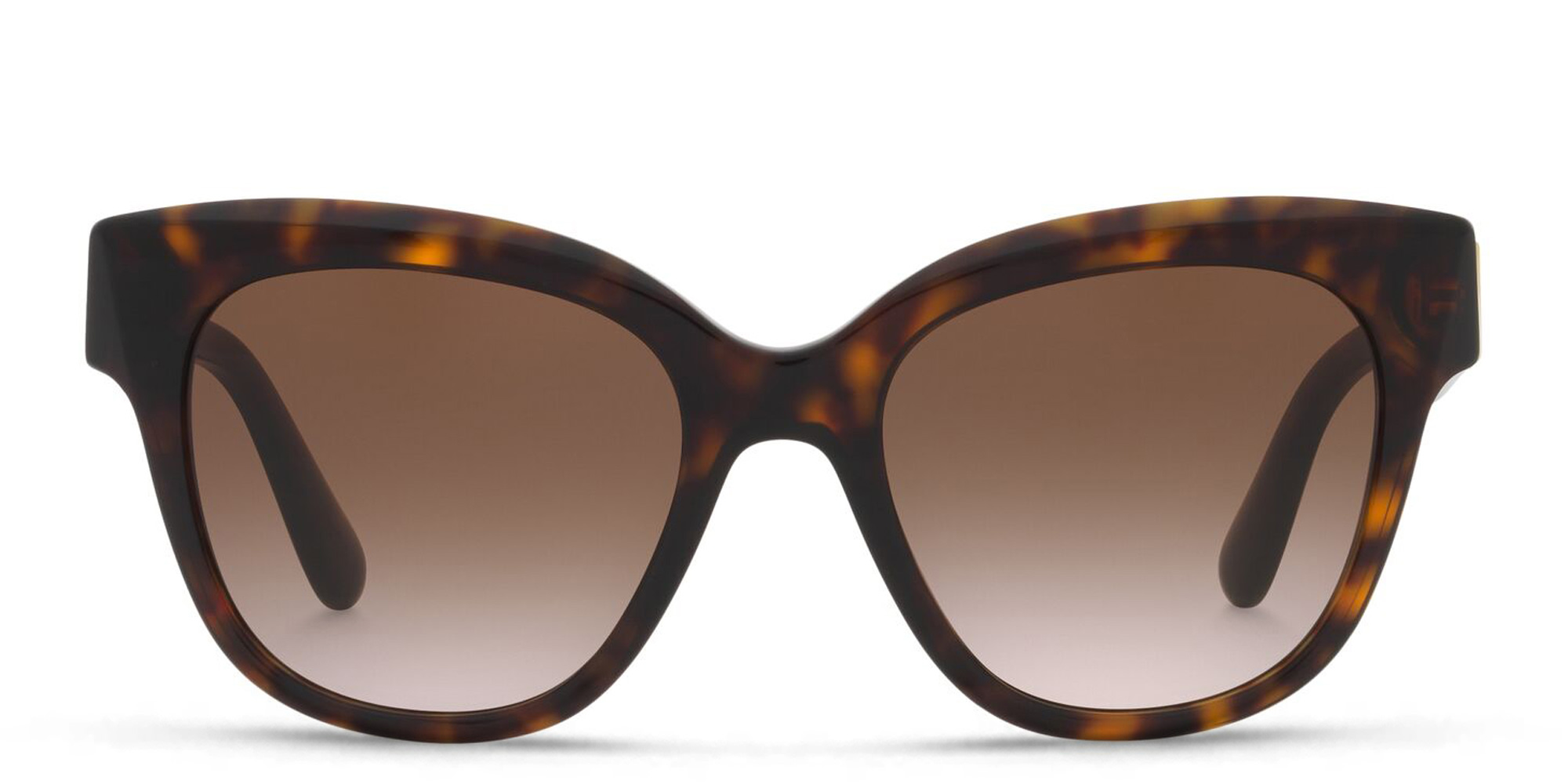 Shop Dolce & Gabbana Cat Eye Sunglasses in Havana online.