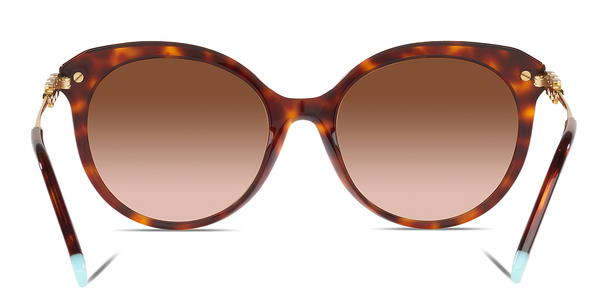 Shop TIFFANY Cat-Eye Sunglasses in Havana online.