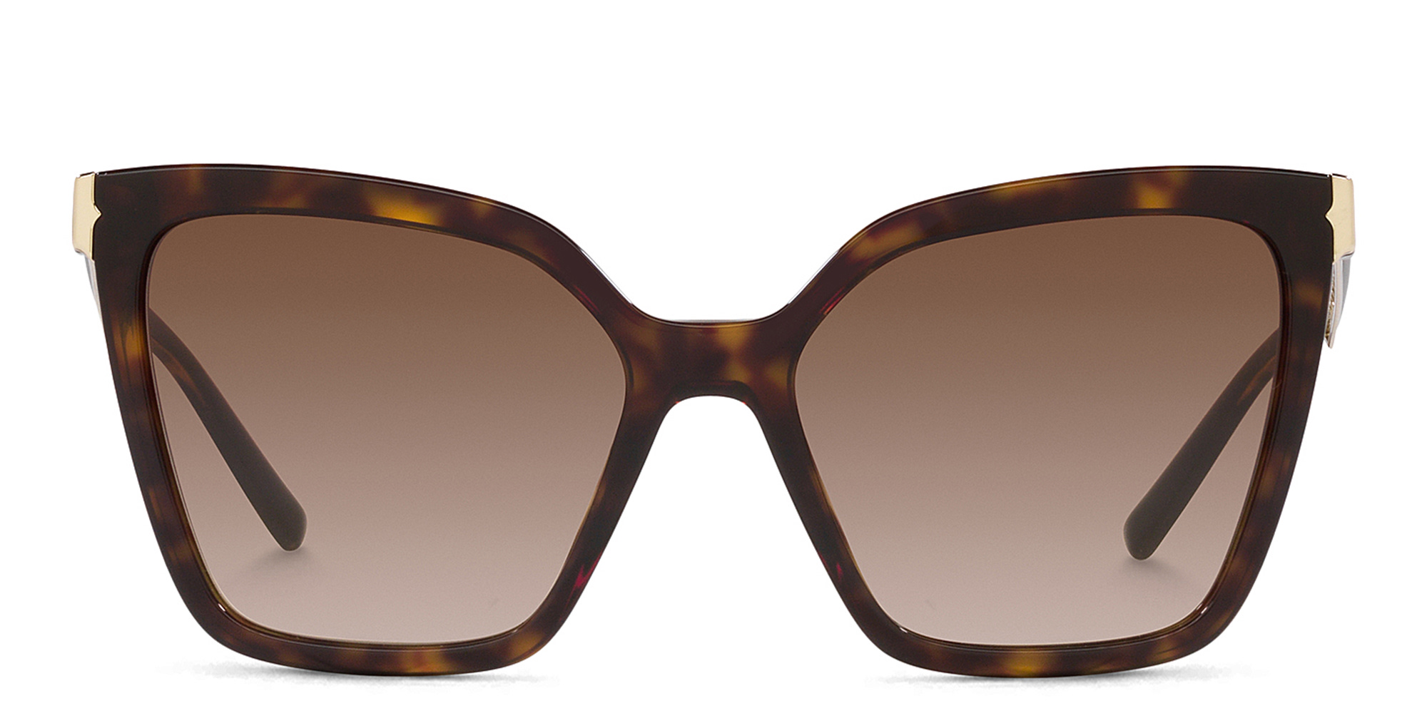 Shop BVLGARI Oversized Cat-Eye Sunglasses in Havana online.