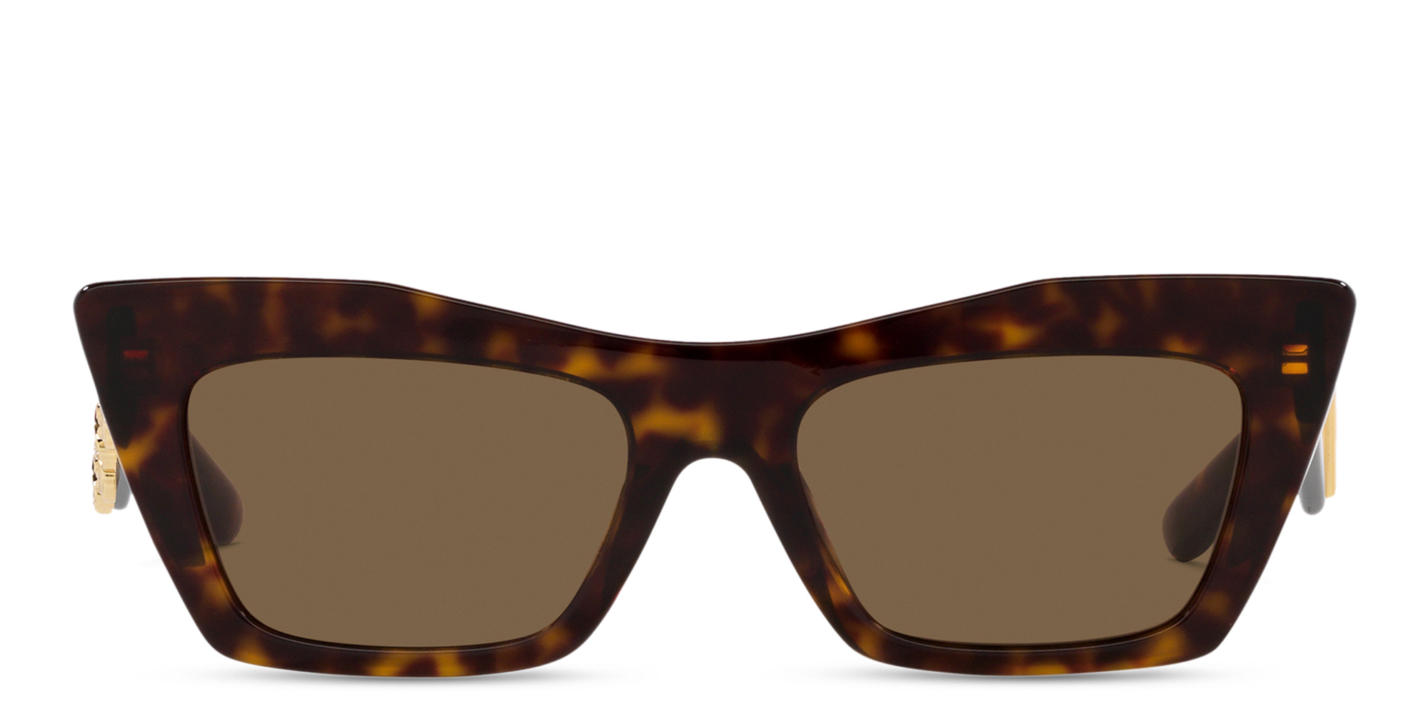 Shop Dolce & Gabbana Cat-Eye Sunglasses in Havana online.