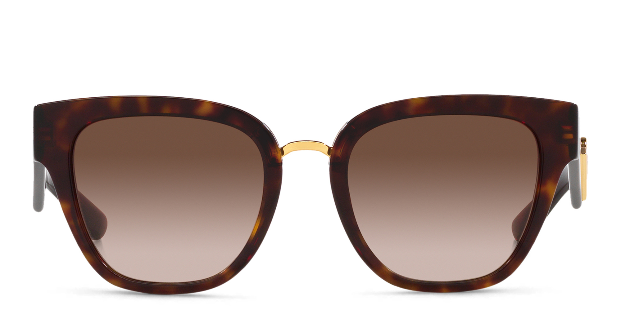 Shop Dolce & Gabbana Cat-Eye Sunglasses in Havana online.