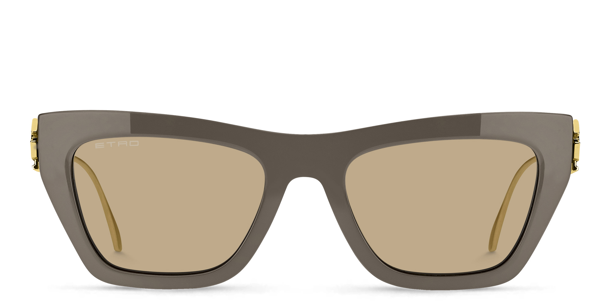 Shop ETRO Bold Pegaso Cat-Eye Sunglasses in Grey online.