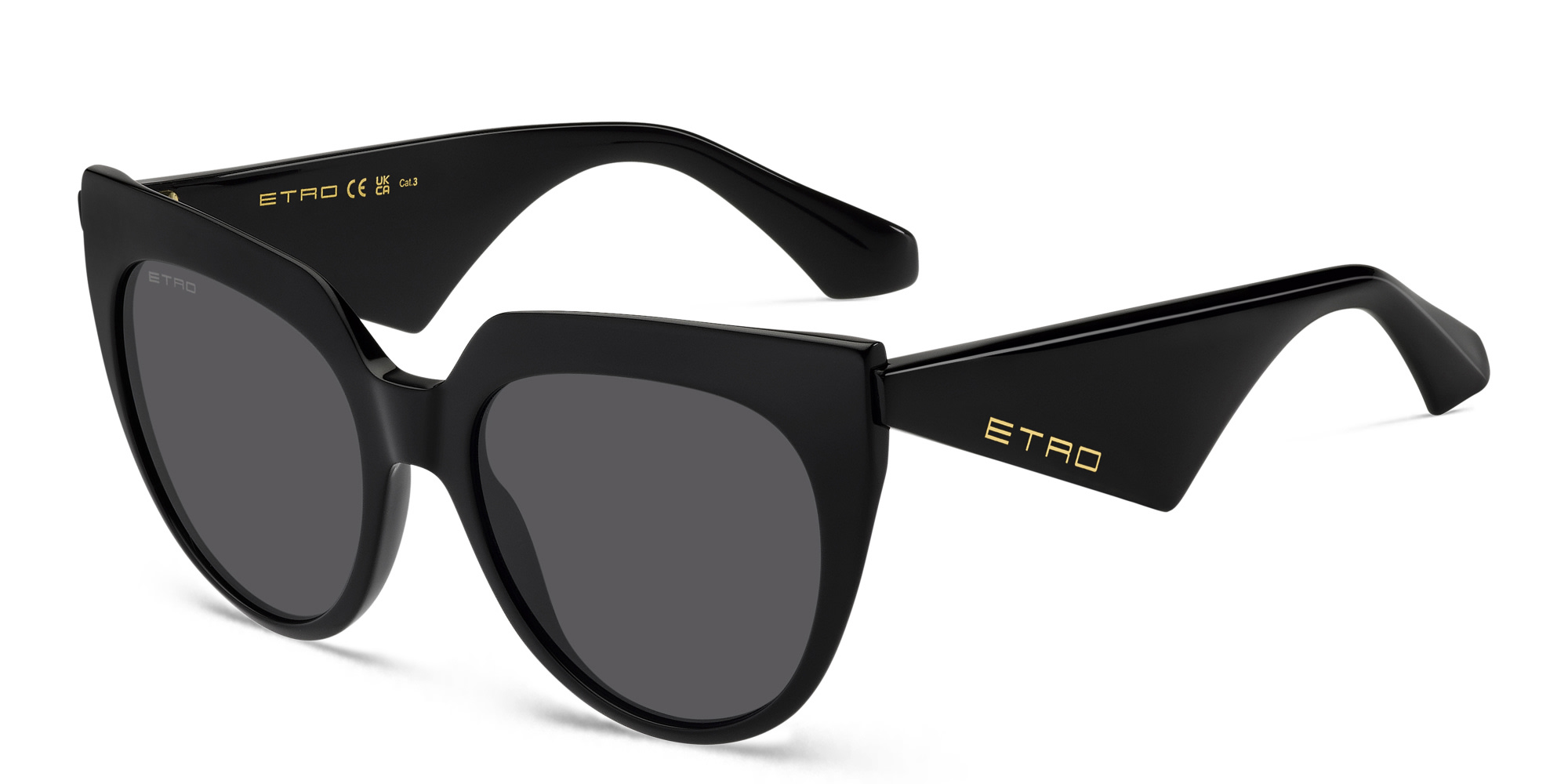 ETRO Tailoring Oversized Cat-Eye Sunglasses in Black – Product Photo 2