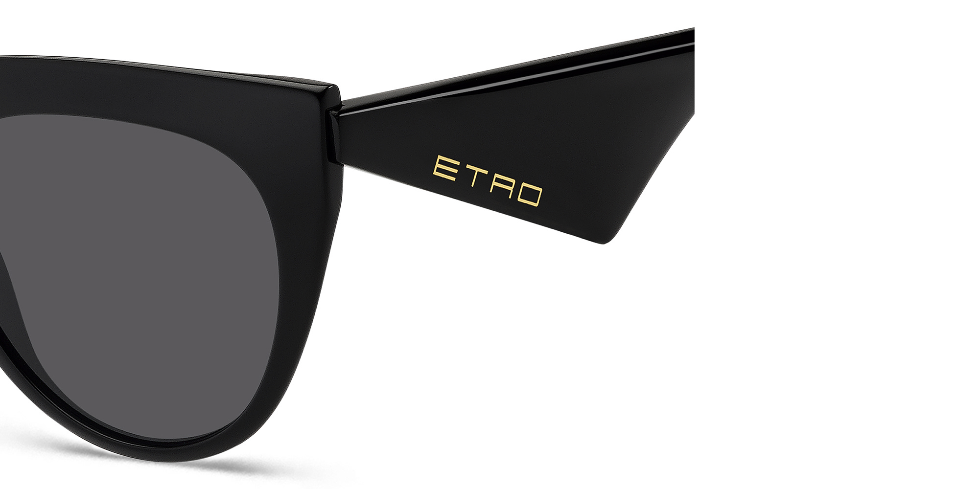 ETRO Tailoring Oversized Cat-Eye Sunglasses in Black – Product Photo 4