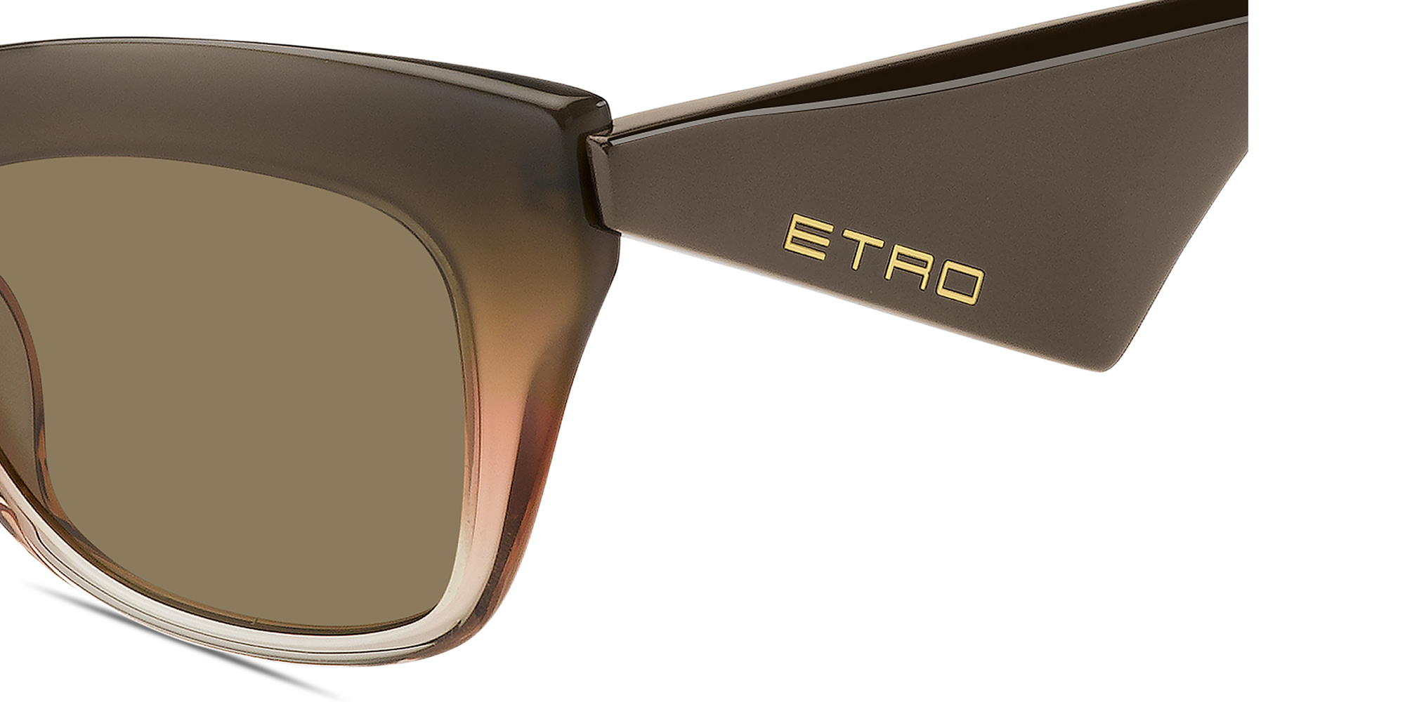 ETRO Etro Tailoring Cat-Eye Sunglasses in Gradient Brown – Product Photo 4