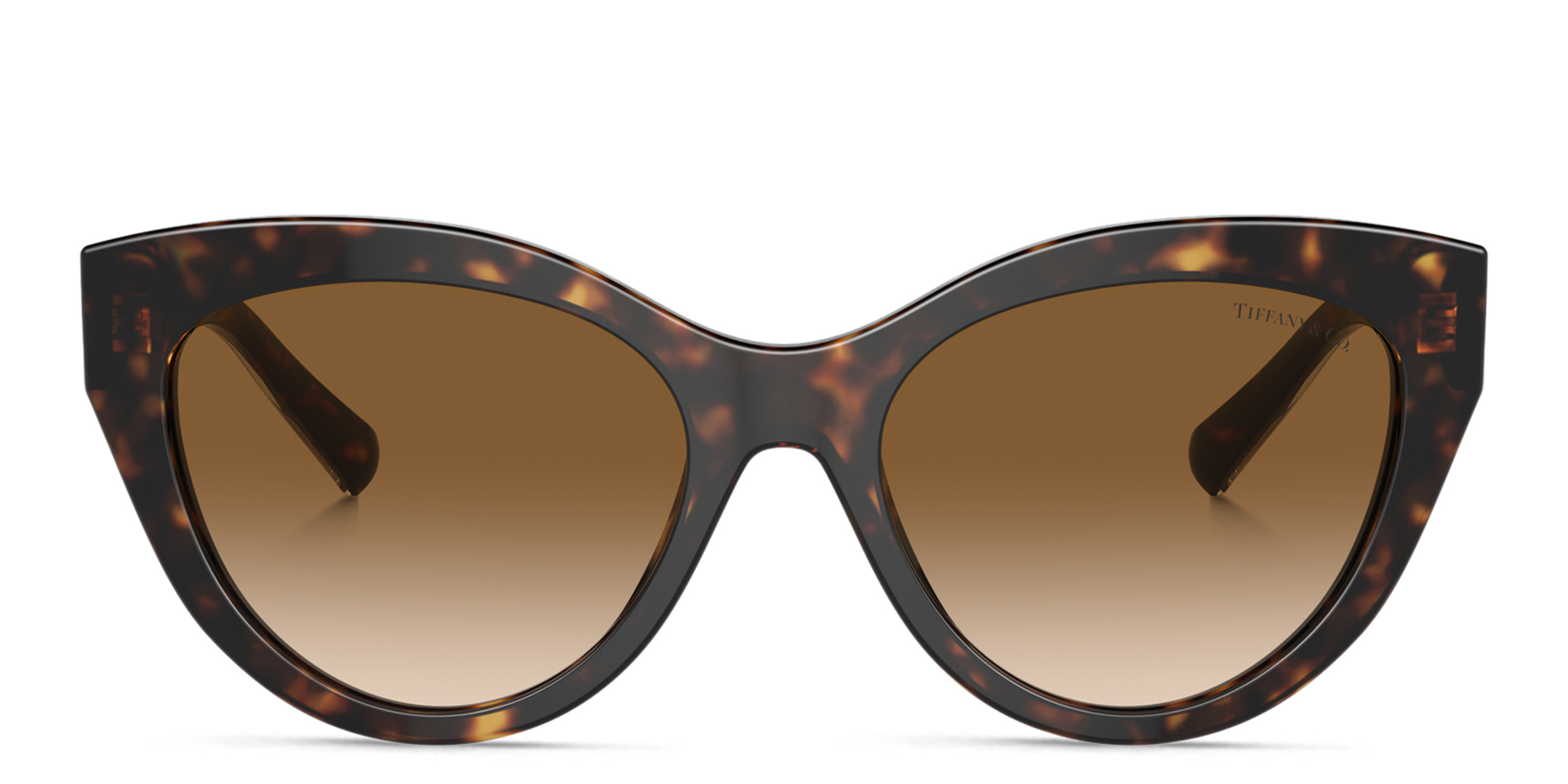 TIFFANY T True Cat-Eye Sunglasses in Havana – Product Photo 1