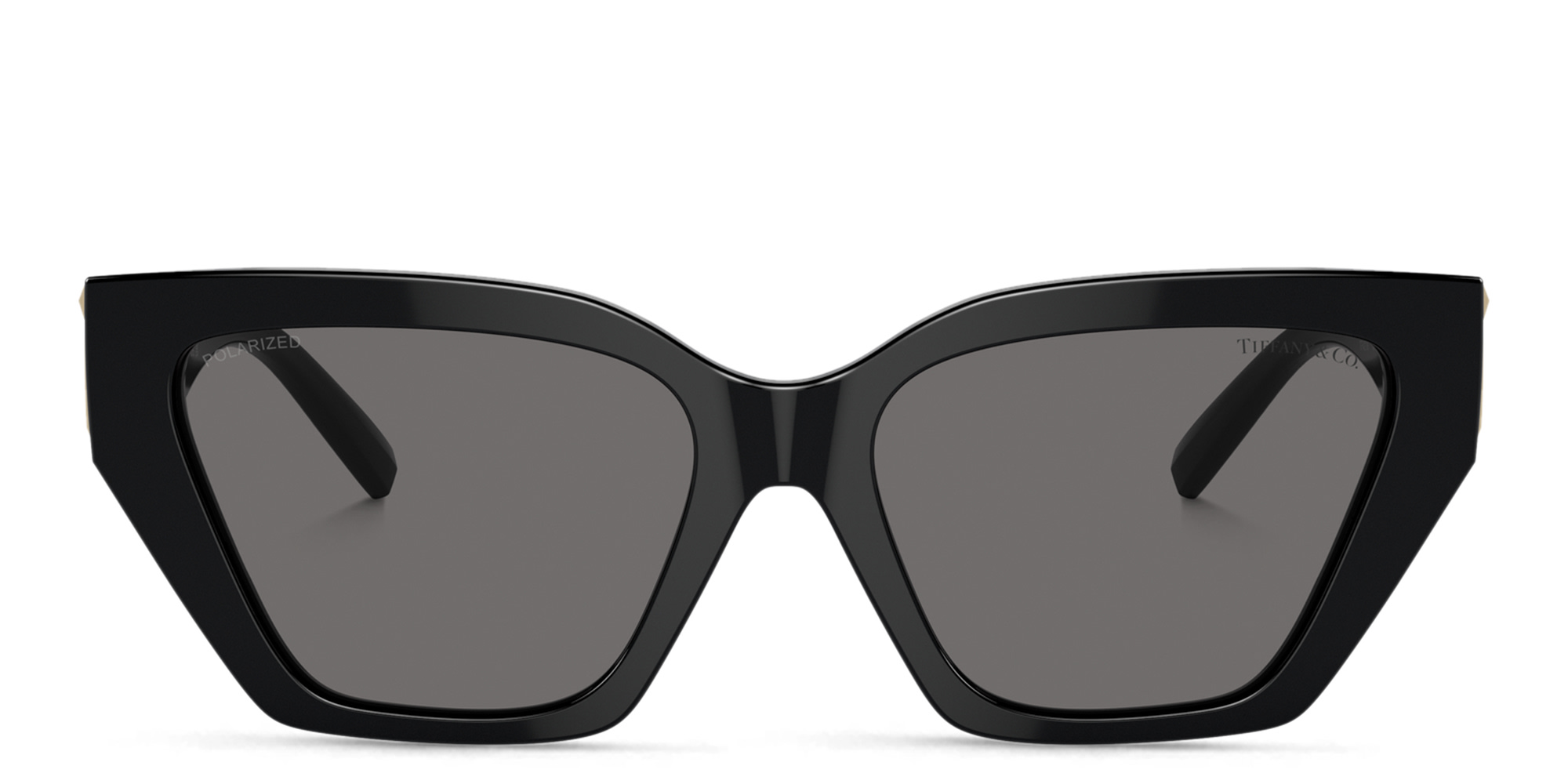 Shop TIFFANY T Deco Cat-Eye Sunglasses in Black online.