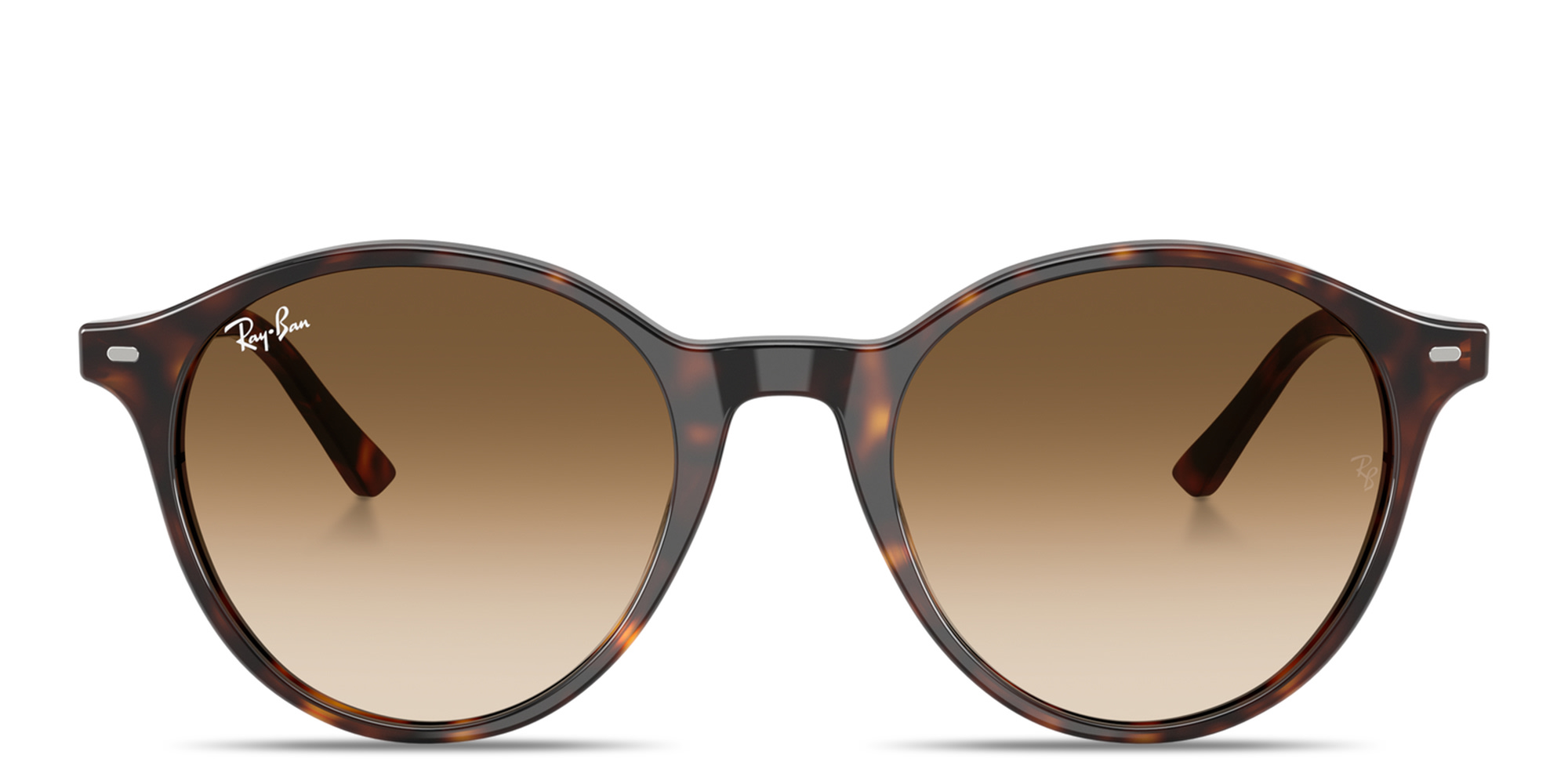 Shop Ray-Ban Bernard Unisex Panthos Sunglasses in Havana online.
