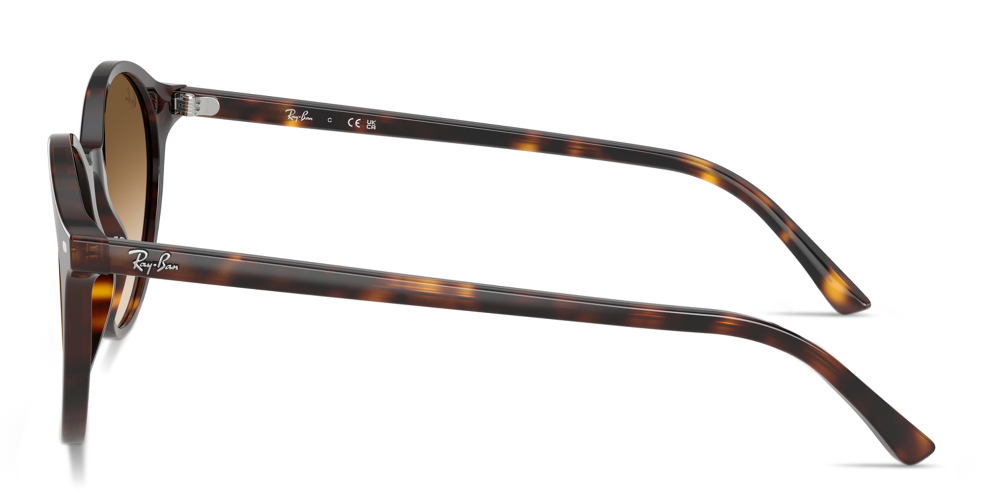 Shop Ray-Ban Bernard Unisex Panthos Sunglasses in Havana online.