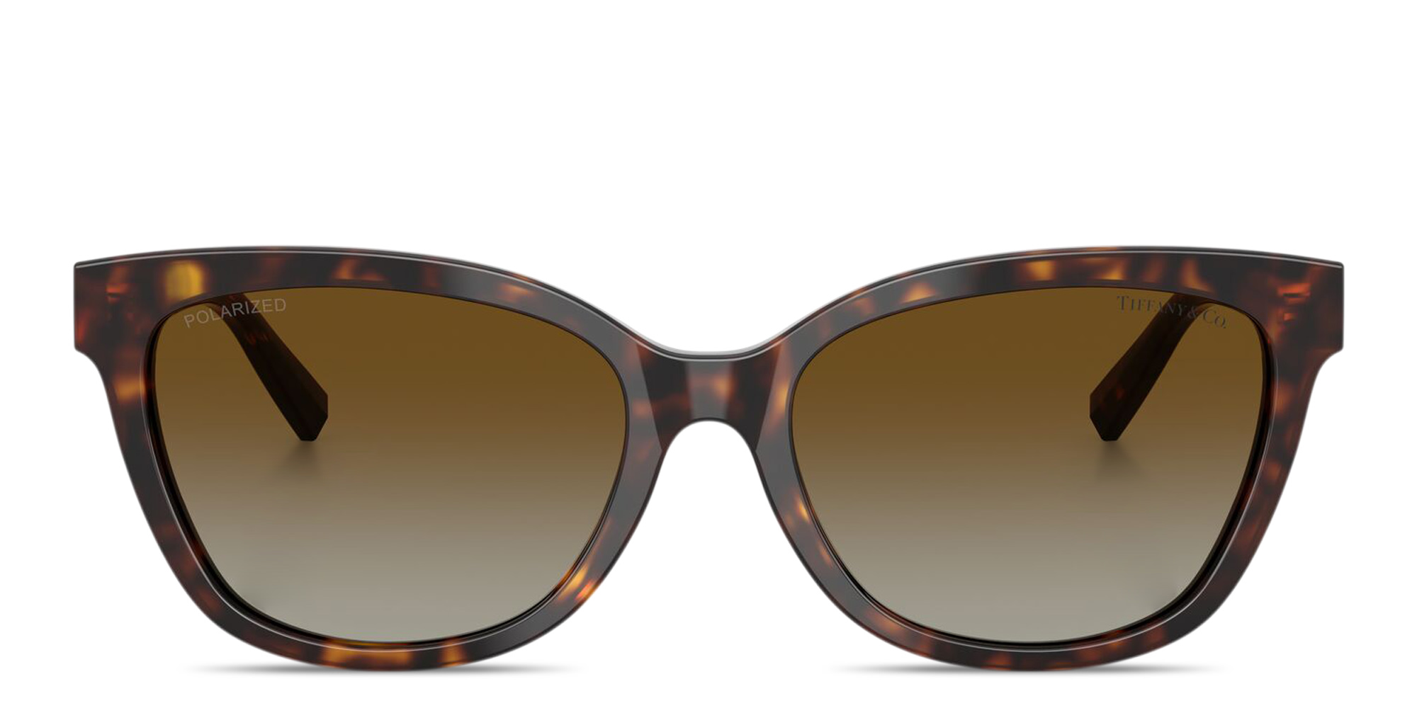 Shop TIFFANY Tiffany T Cat-Eye Sunglasses in Havana online.