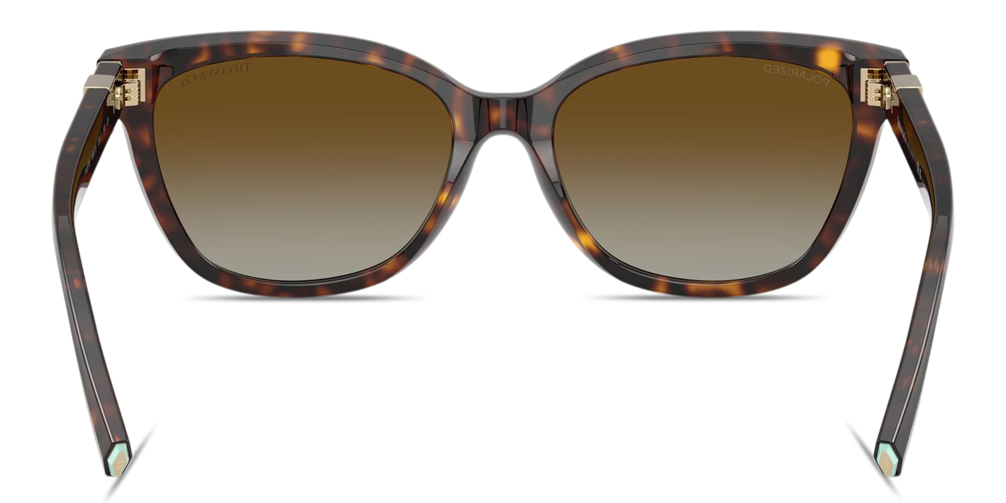 Shop TIFFANY Tiffany T Cat-Eye Sunglasses in Havana online.